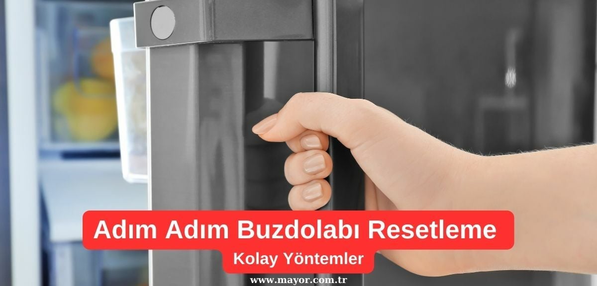 Zanussi Buzdolabı Resetleme Nasıl Yapılır